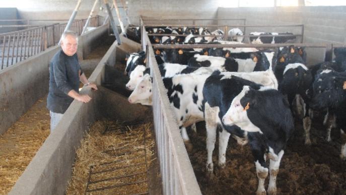 El cens de boví s’estabilitza després d’una pujada del 7% l’any passat