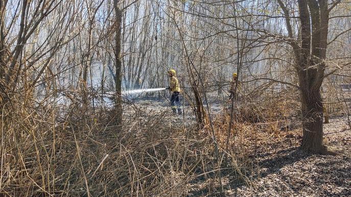 Un incendi crema uns 1.500 metres quadrats de l'estany d'Ivars i Vila-sana
