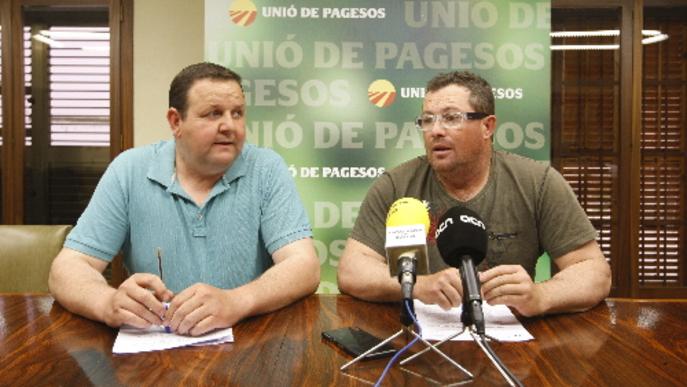 UP denuncia el tancament de 39 granges lleteres en quinze mesos
