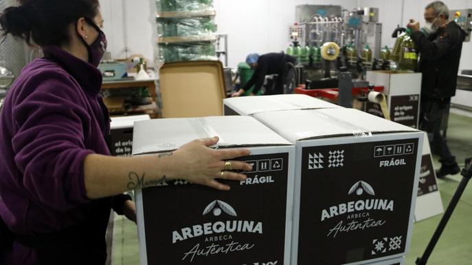 ⏯️ Cooperatives de les Garrigues registren un increment de venda d'oli d'oliva arran de la guerra