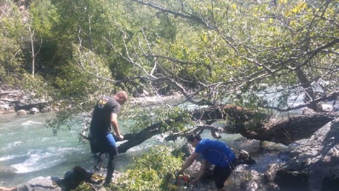 Retiren dos arbres de la Pallaresa per garantir la seguretat de la navegació