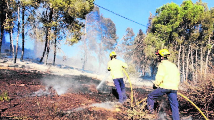 Els bombers sufoquen un foc que crema una pineda a Gimenells