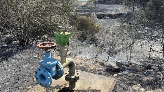 ⏯️ Estabilitzat l'incendi forestal de la Franja