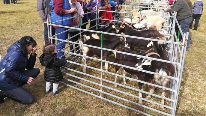 Més de 200 expositors a la fira ramadera comercial de Vielha