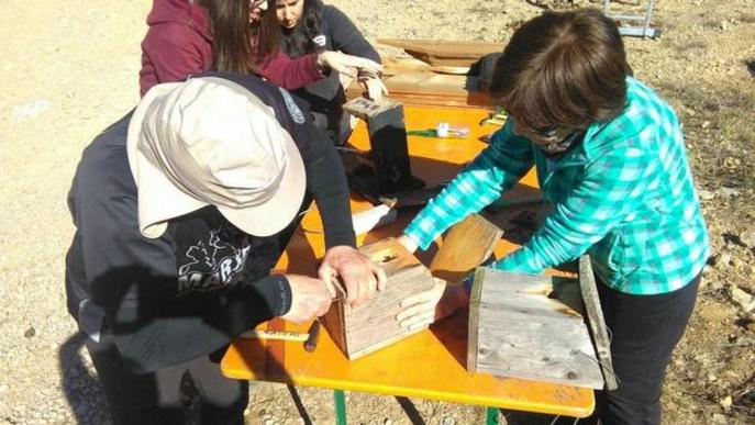 Voluntaris restauren caixes niu a Alinyà