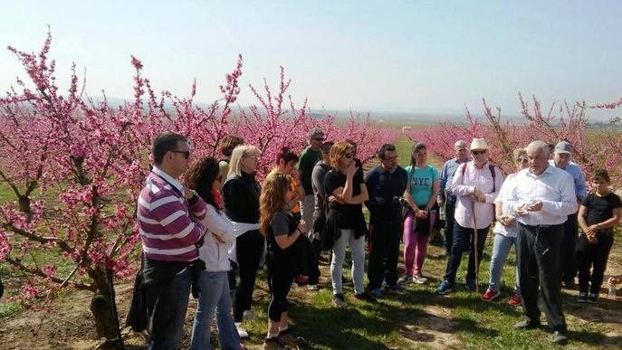 Pobles del Segrià s'apunten al turisme d'arbres en flor i Puigverd estrena ruta verda