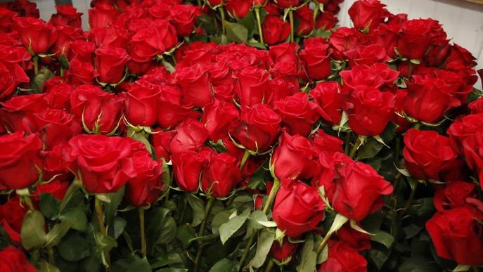 Alerten dels perjudicis de vendre roses grogues per Sant Jordi per al sector