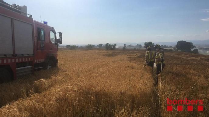 La Segarra i l’Urgell, les zones amb més risc d’incendis en la sega