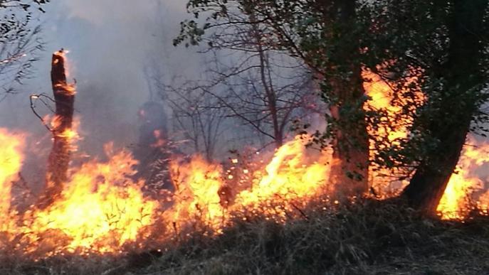 Cremen nou hectàrees a la Floresta i a la Mitjana