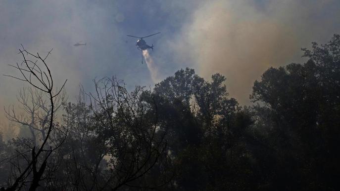 Un espectacular incendi arrasa més de dos hectàrees a la Mitjana