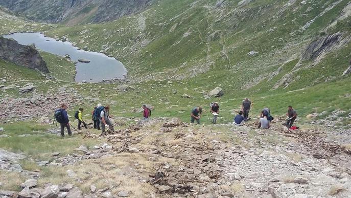 L’atac d’un ós va causar la mort d’ovelles a Lladorre