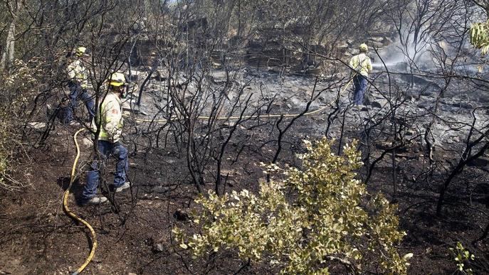 Calcinades trenta hectàrees en un incendi agrícola i forestal a Tàrrega