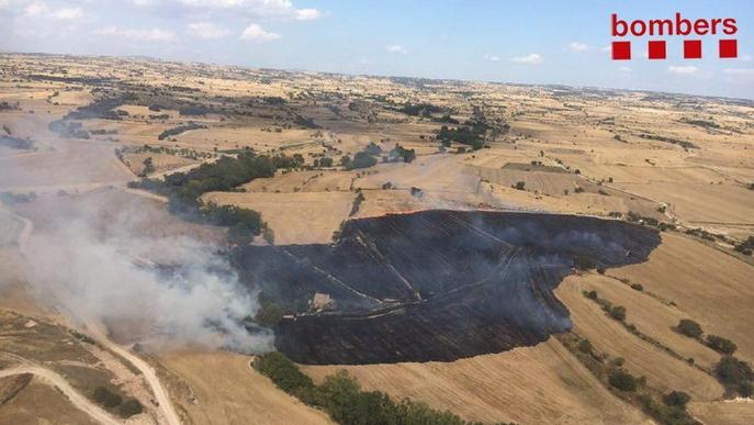 Cremen 5 hectàrees a Torrefeta i el foc d'Artesa, intencionat