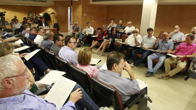 Els gairebé 70 alcaldes del Segrià i la Noguera recolzen la pagesia davant la crisi de la fruita