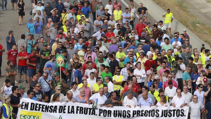 Lleida sol·licita retirar 17.129 tones de fruita de pinyol