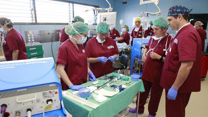 El centre biomèdic experimental de Torrelameu atreu cirurgians de tot Espanya