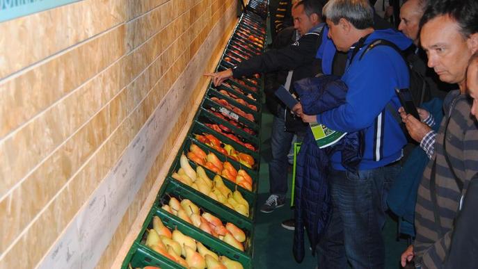 La producció de poma, opció de futur davant de la caiguda de l’oferta europea