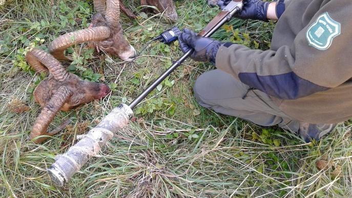 Els Agents Rurals detecten una xarxa de caçadors furtius professionals al Pirineu