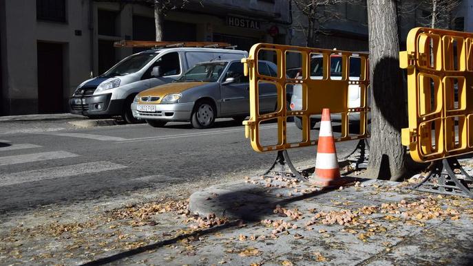 Queixes per la pudor dels arbres a l’avinguda Salòria de la Seu d’Urgell