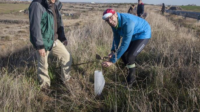 Reforesten l’entorn del Segarra-Garrigues a Tàrrega