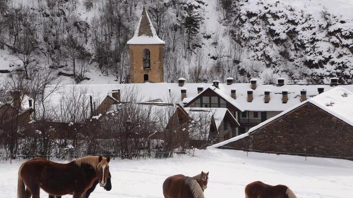 Els bombers evacuen set persones atrapades per les nevades en una casa rural de Coll de Nargó