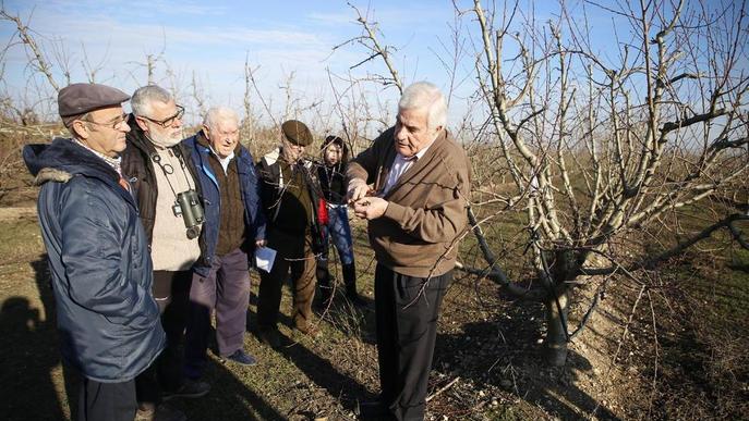 Els pagesos de Torres de Segre comencen a explicar a turistes els secrets dels fruiters