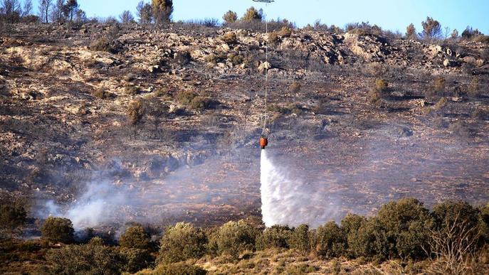 Un incendi forestal crema 12,5 hectàrees a la Noguera