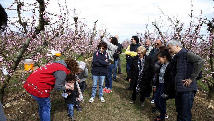 Més de 1.200 turistes als camps en flor del Segrià