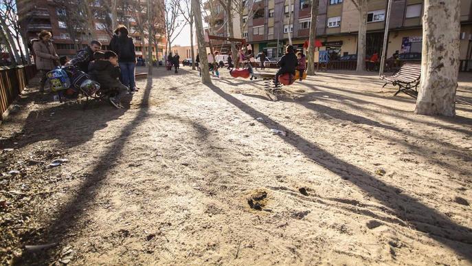 Queixes per excrements de gos en un parc infantil de Cappont a Lleida