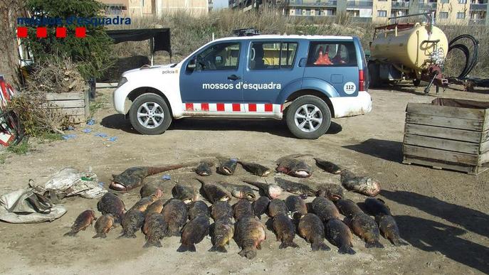 Desenes de pescadors obren la temporada a Lleida malgrat el fred