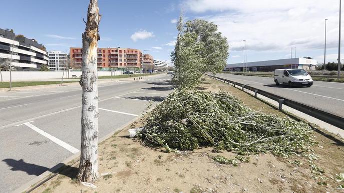 Un temporal de vent amb epicentre a Tarragona provoca incidències a Lleida