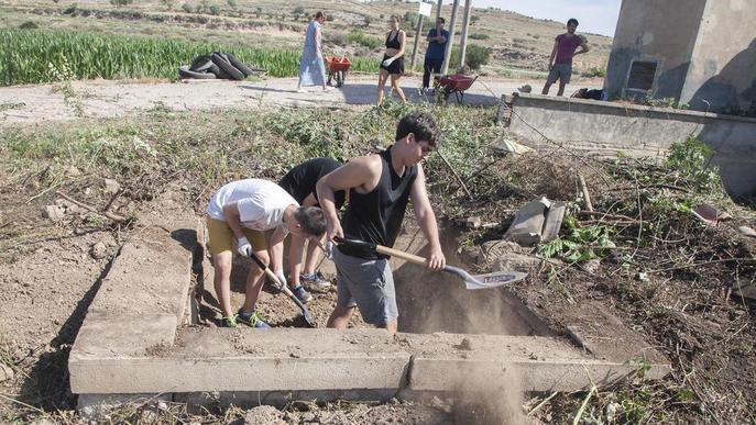 Lleida tindrà aquest estiu 18 camps de treball i 324 places