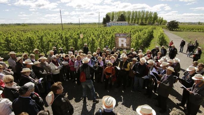 Lleida se cita al delta de l’Ebre amb vora un miler de cantaires