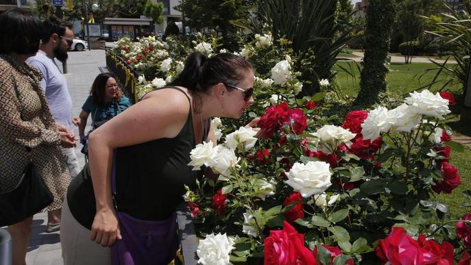 Les flors ja regnen a les Garrigues