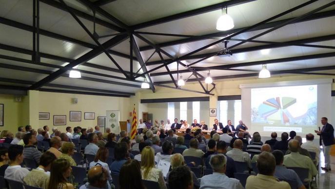 La Generalitat fixa els criteris per als molins d’oli ‘de qualitat ambiental’