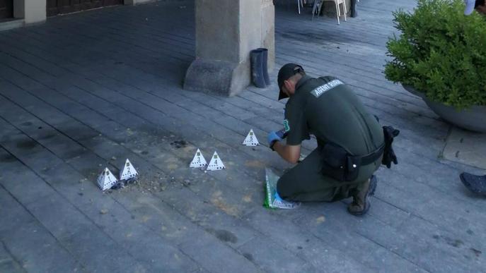 Destrueixen nius d’orenetes a Balaguer i les Borges Blanques