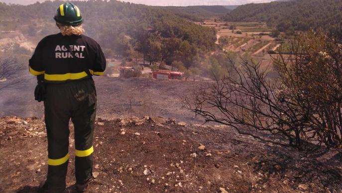 Tres incendis calcinen més de deu hectàrees a Ponent