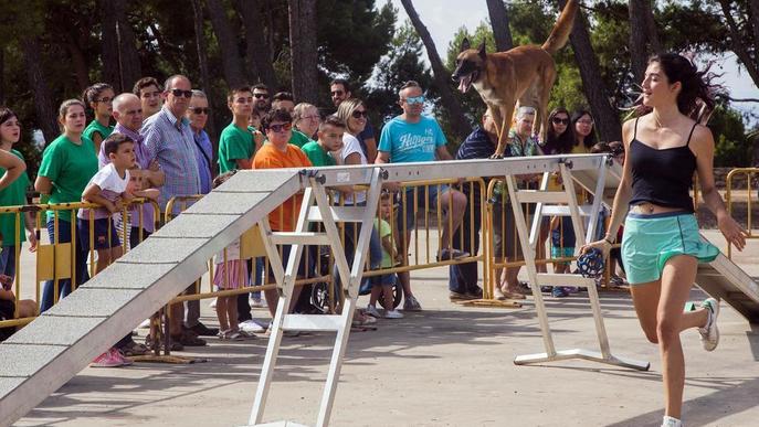 Tàrrega viu un multitudinari i emotiu Aplec de Sant Eloi