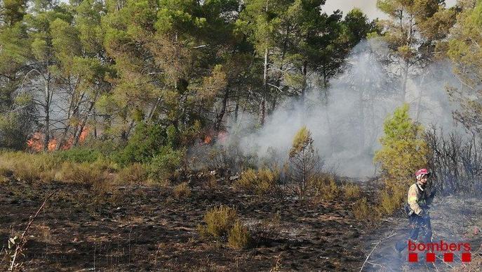 Foc de vegetació amb cinc focus diferents a l'Espluga Calba