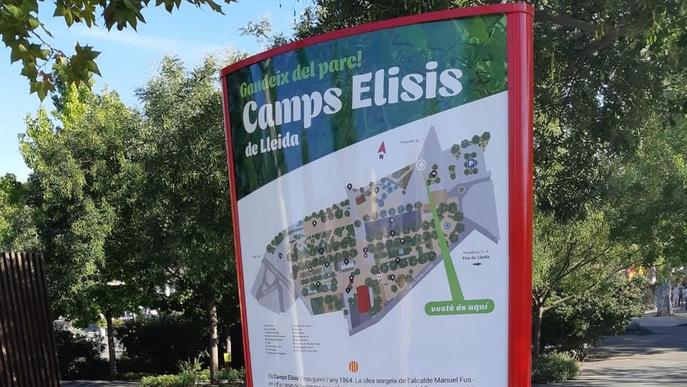 Renoven els plafons dels Camps Elisis