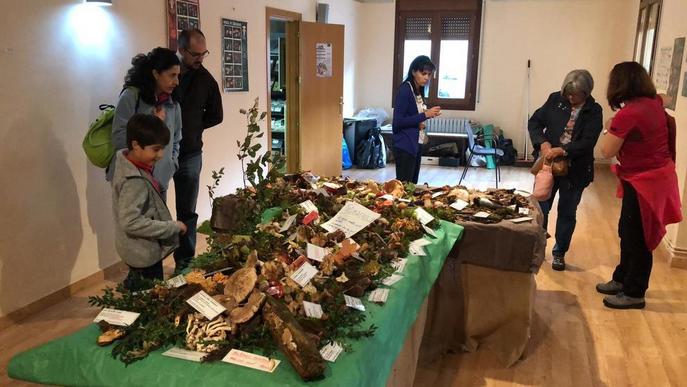 Desenes de veïns pleguen fins a 70 tipus de bolets i els exposen