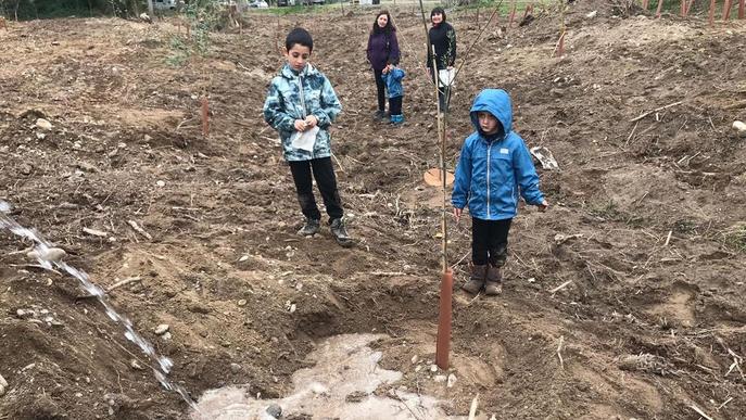 Voluntaris planten més de dos-cents arbres a l’aiguabarreig Segre-Cinca