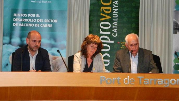 El sector boví adverteix que ha “de mimar l'exportació'