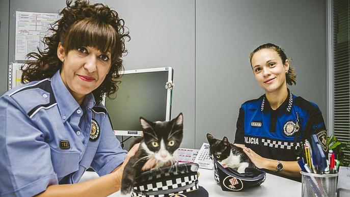 La Guàrdia Urbana col·labora en un calendari amb la protectora Amics dels Animals del Segrià