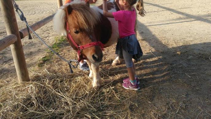 Juneda obre enguany la segona escola bosc de les Garrigues