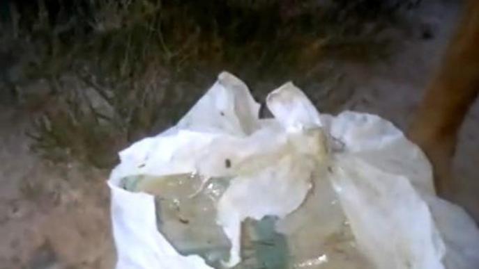 Rescaten set cadells abandonats en una bossa de plàstic a Fraga