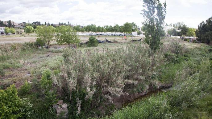 La riba del riu Ondara de Tàrrega, un espai de lleure