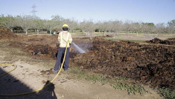 Cremen tres tones d'excrements en una granja d'Almenar