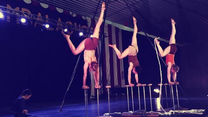 El circ pren Altorricó al festival Acambalachous