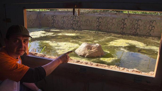 Vallbona habilita una bassa per poder observar amfibis i rèptils